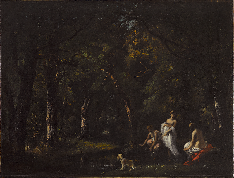 three people and a dog in a dark wood