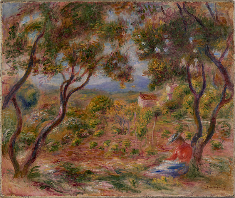 a woman sitting at the base of a spindly tree with a view down a hill