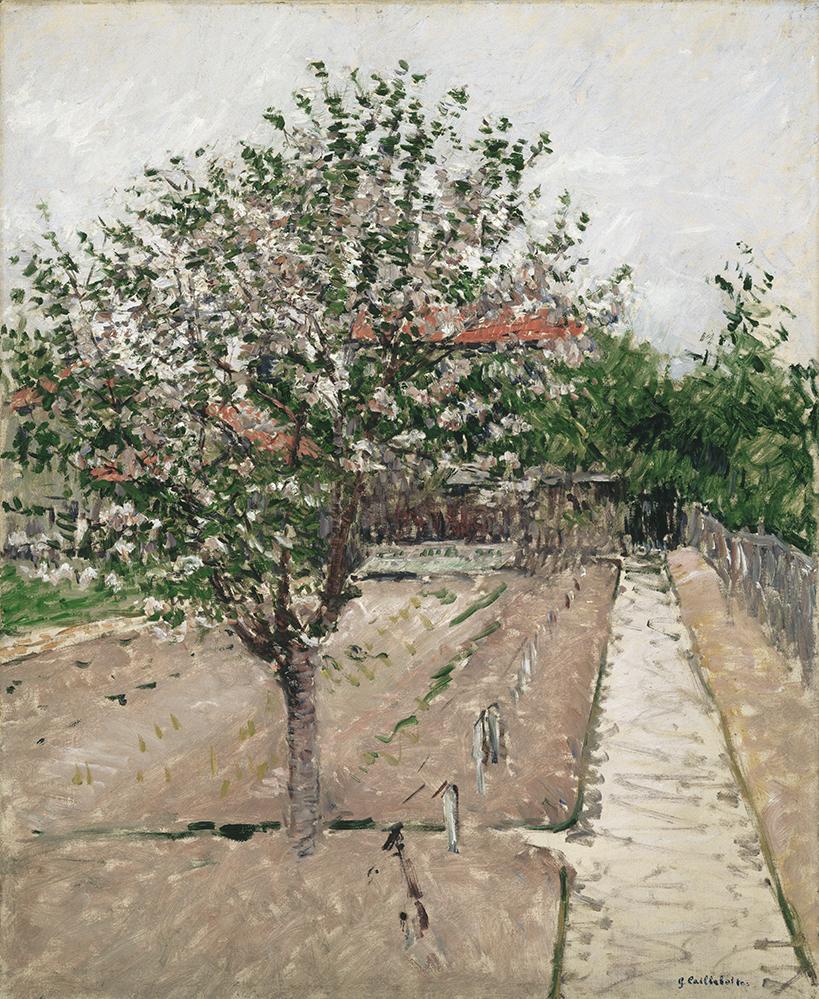 Gustave Caillebotte (French, 1848–1894). Apple Tree in Bloom, 1885.